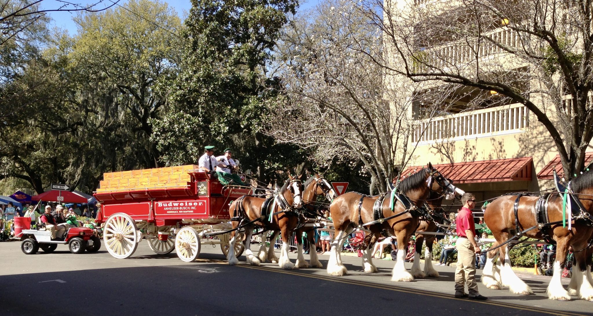 Clydesdale horses St Patricks Day in Savannah